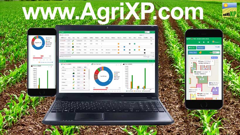 computer on corn field
